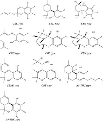 Differentiating Cannabis Products: Drugs, Food, and Supplements